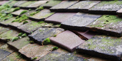 Taplow roof repair costs